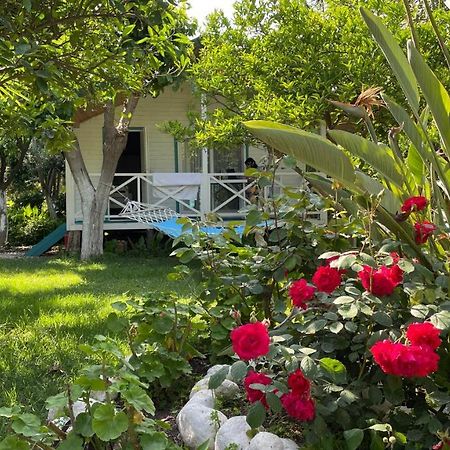 Bellerofon Beach Otel Çıralı Esterno foto