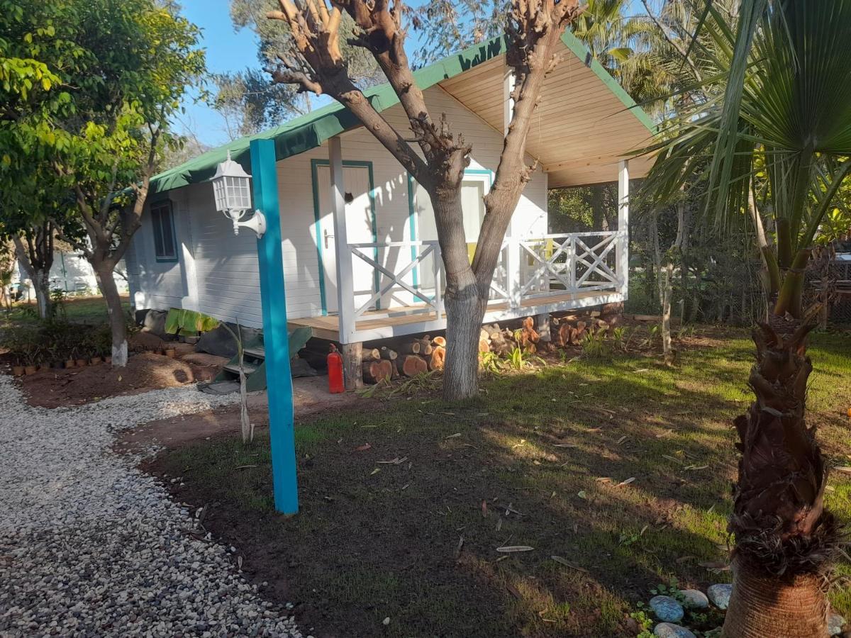 Bellerofon Beach Otel Çıralı Esterno foto
