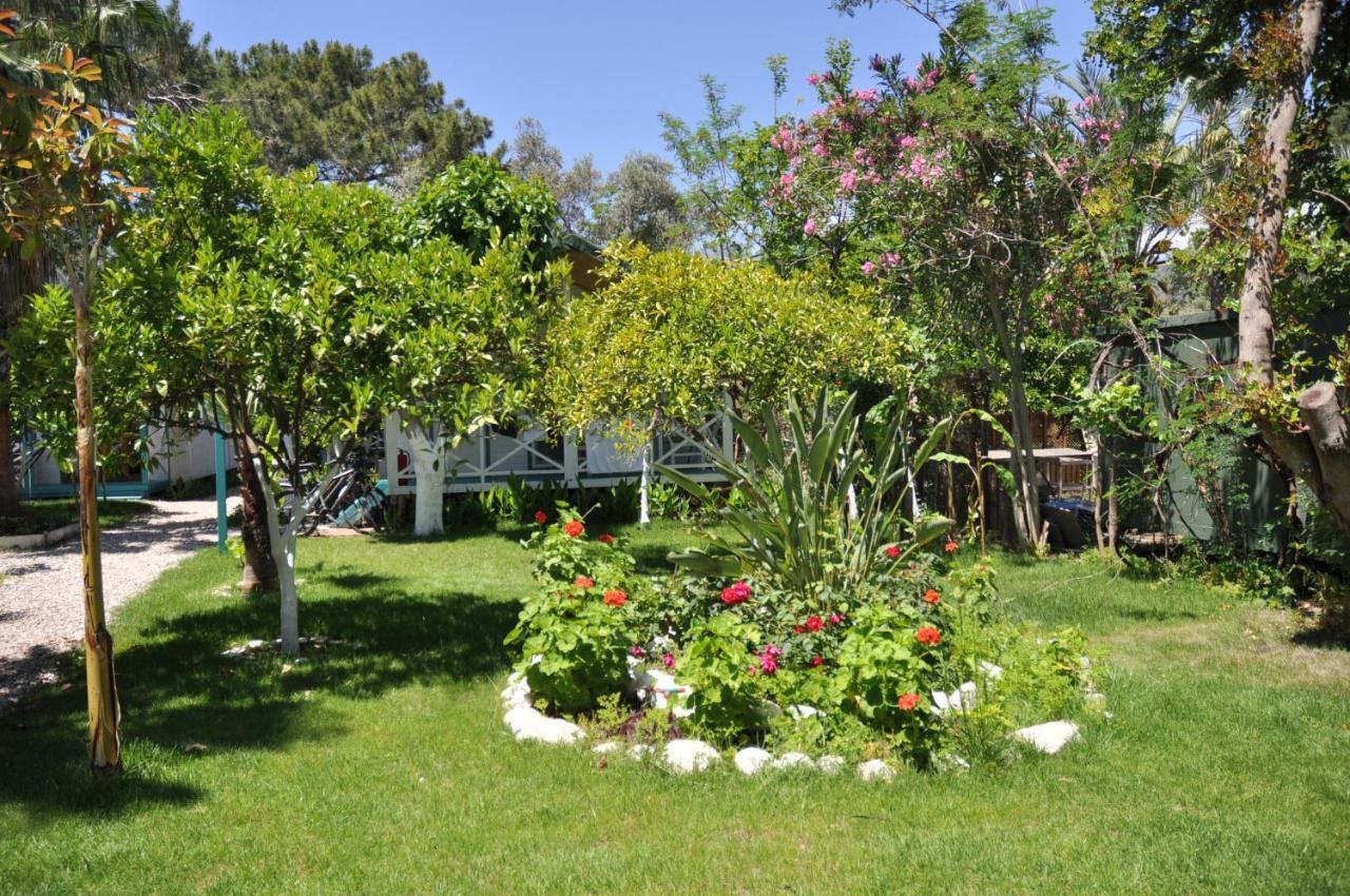 Bellerofon Beach Otel Çıralı Esterno foto