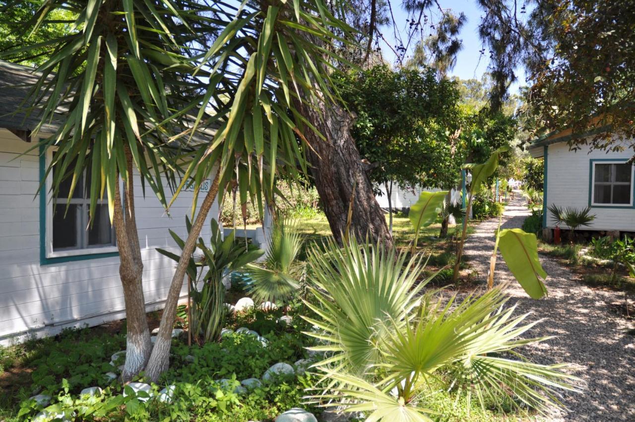 Bellerofon Beach Otel Çıralı Esterno foto