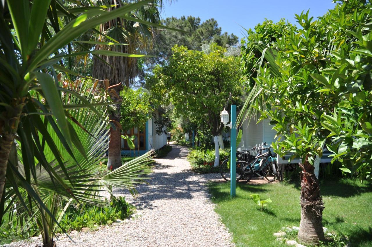 Bellerofon Beach Otel Çıralı Esterno foto