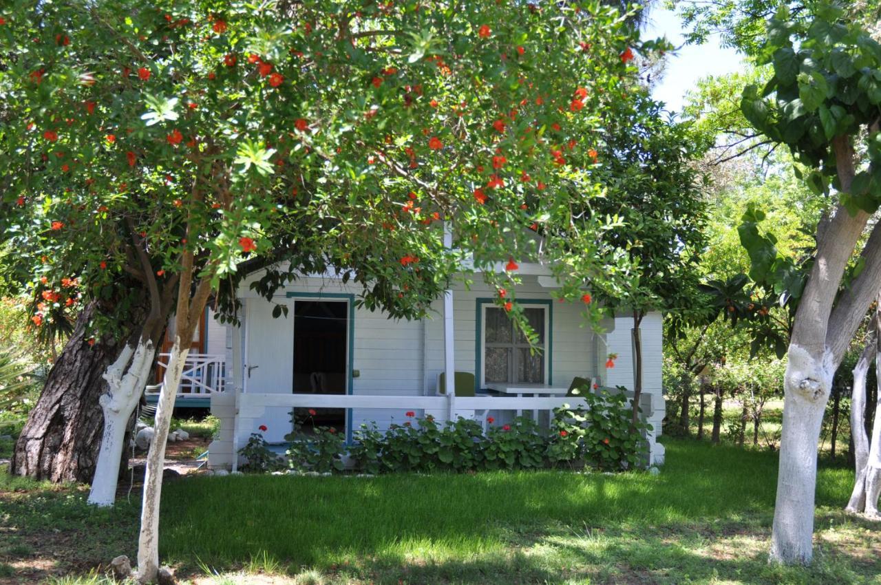 Bellerofon Beach Otel Çıralı Esterno foto