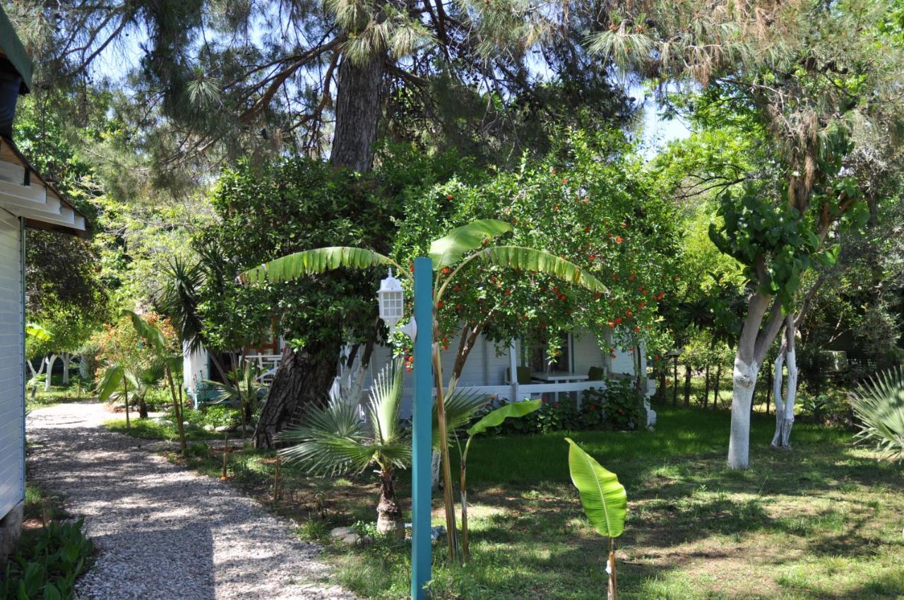 Bellerofon Beach Otel Çıralı Esterno foto