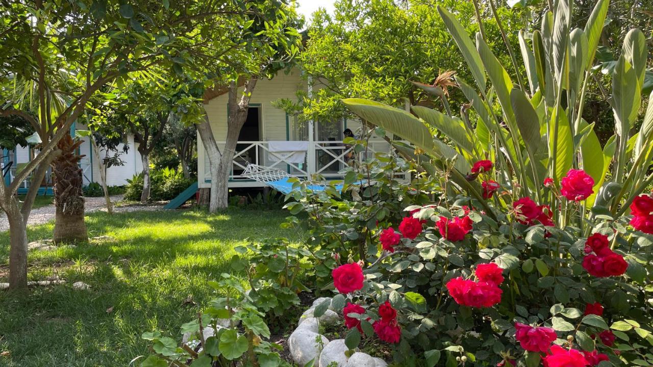 Bellerofon Beach Otel Çıralı Esterno foto
