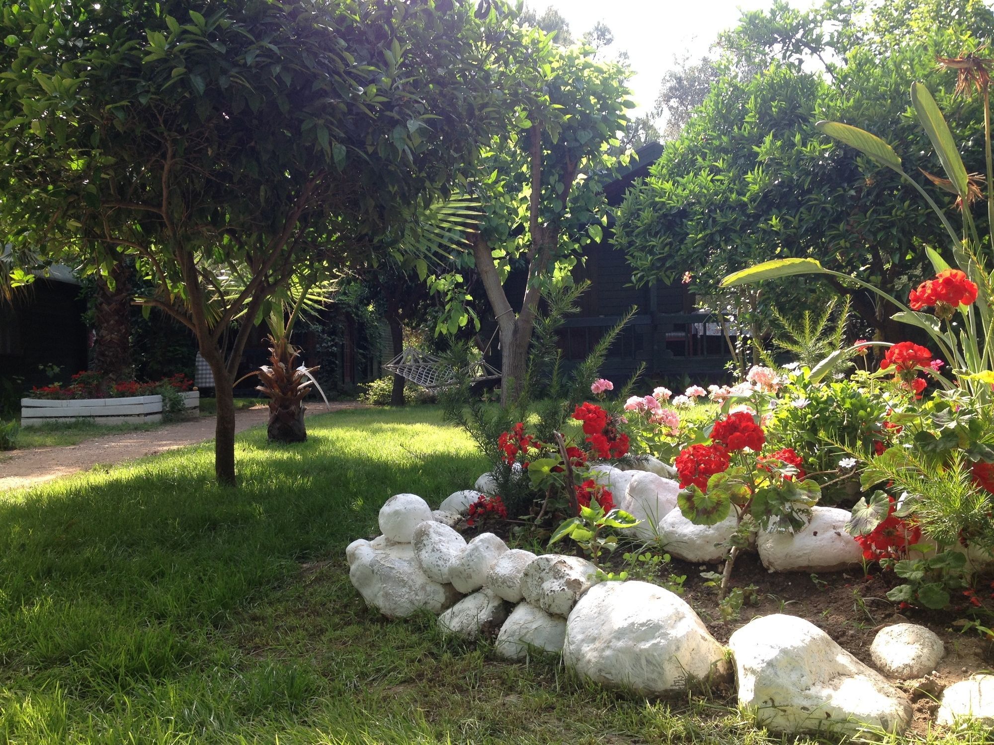 Bellerofon Beach Otel Çıralı Esterno foto
