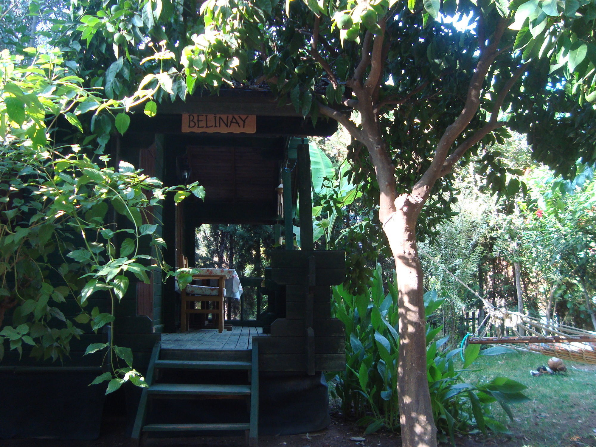 Bellerofon Beach Otel Çıralı Esterno foto